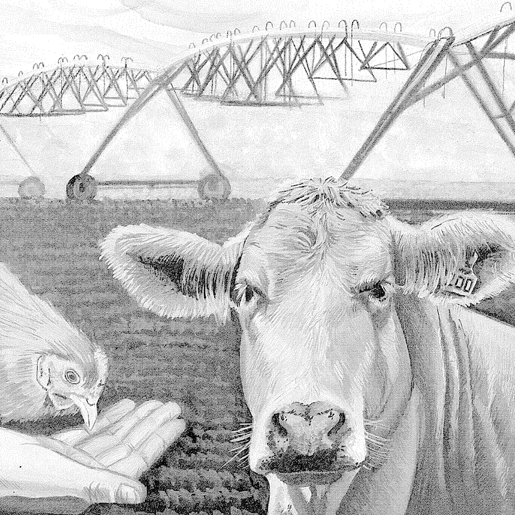 High school students draw Georgia agriculture for GFB Art Contest